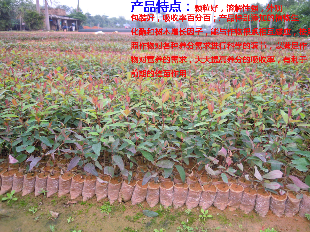 广东利尔达肥业有限公司